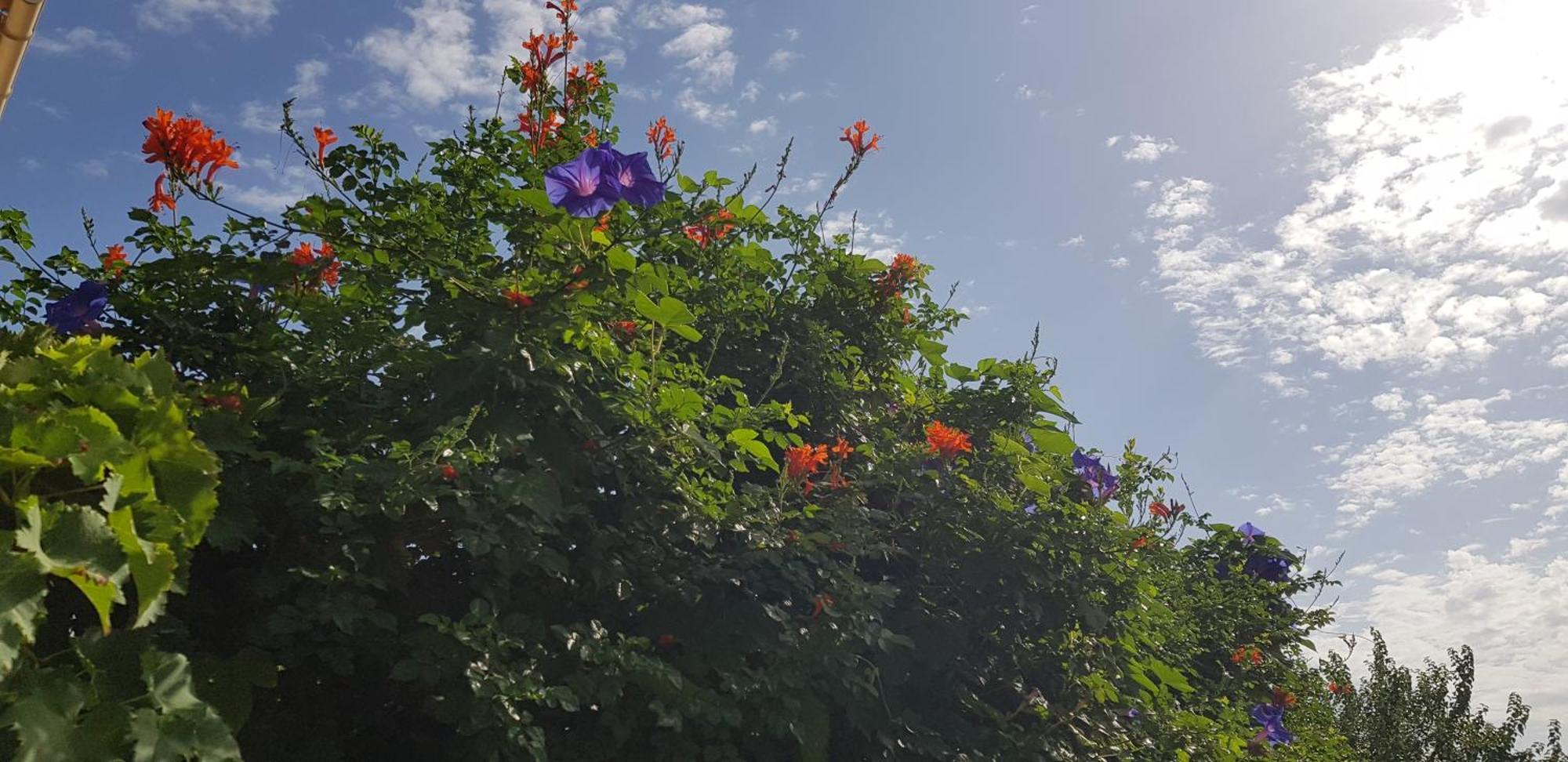 Superbe T2 Avec Jardin, Piscine-Enfant Et Parking Διαμέρισμα Αρλ Εξωτερικό φωτογραφία